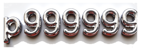 p999999 logo